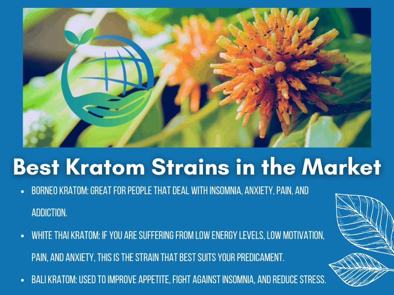 Right Seller of Quality Kratom Strains