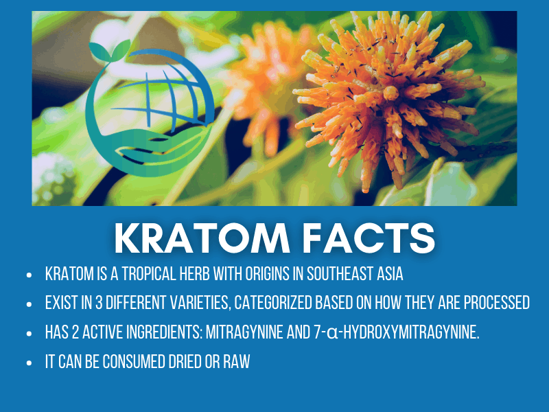 Kratom Facts