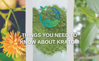 The Basics of Kratom