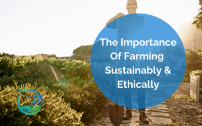 The Importance of Farming Sustainably and Ethically