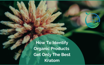 How To Identify Organic Products: Get Only The Best Kratom