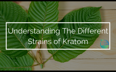 Understanding The Different Strains of Kratom