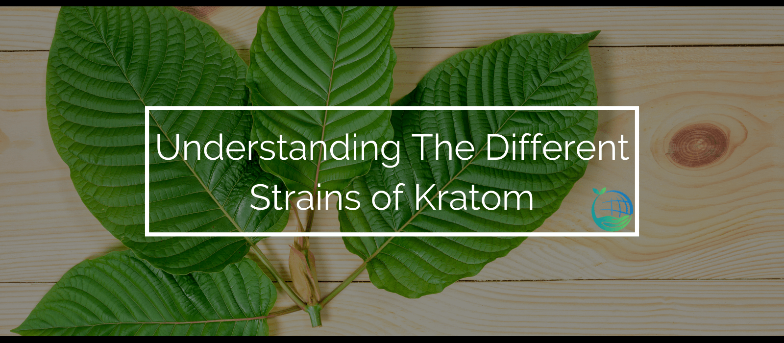 Different Strains of Kratom