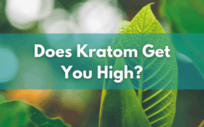 Does Kratom Get You High?