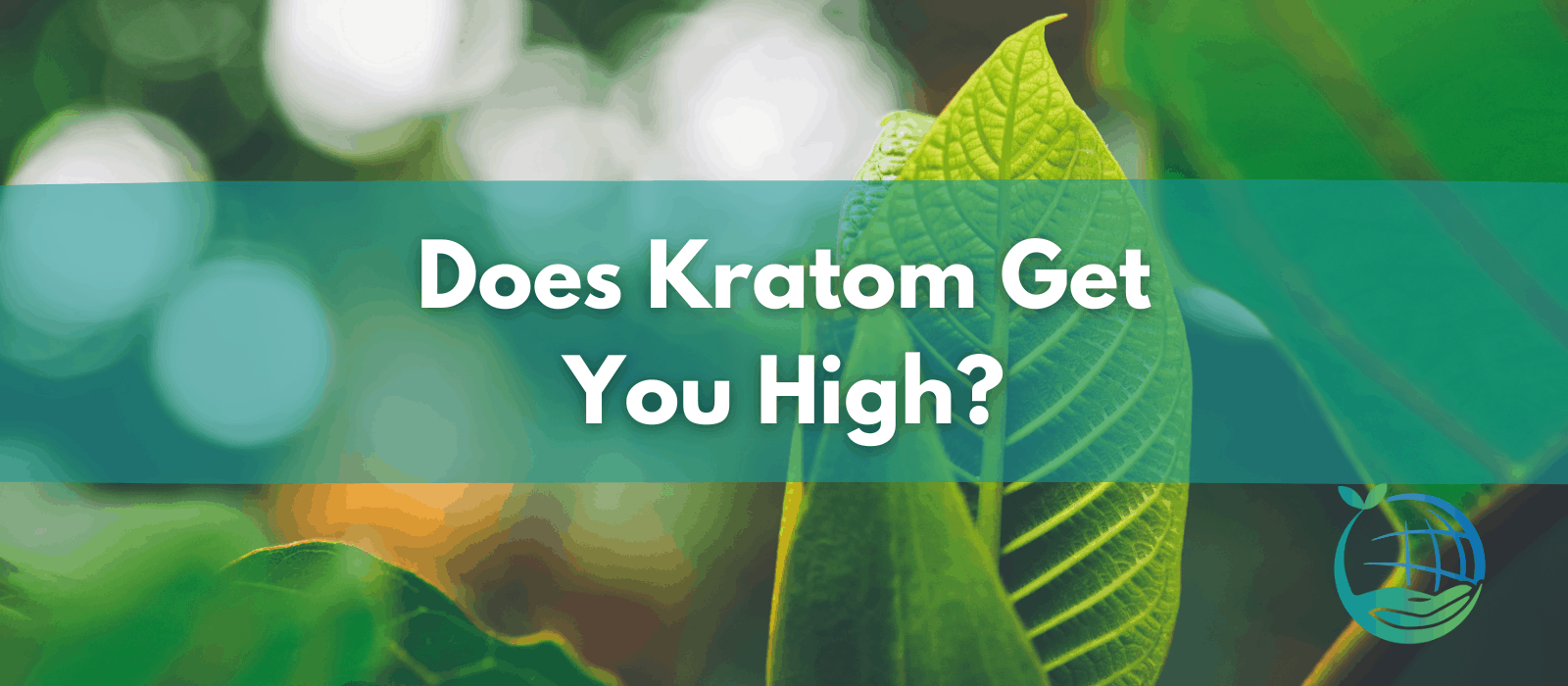 Does Kratom Get You High
