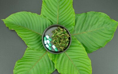 Exploring the Kratom Cultivation Process: How Quality and Sourcing Affect the Overall Product