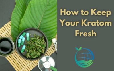How to Keep Your Kratom Fresh