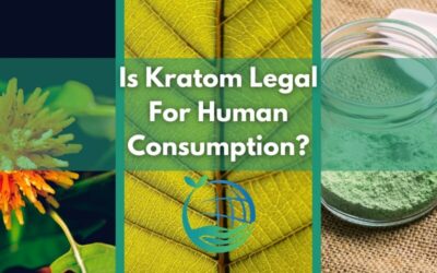 Is Kratom Legal For Human Consumption?