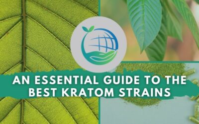 An Essential Guide to the Best Kratom Strains