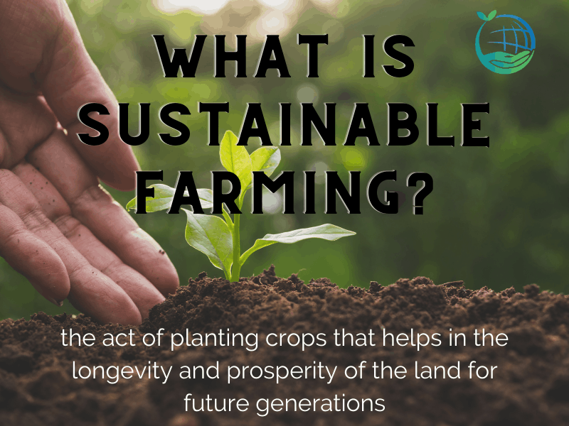 The Importance Of Farming Sustainably & Ethically