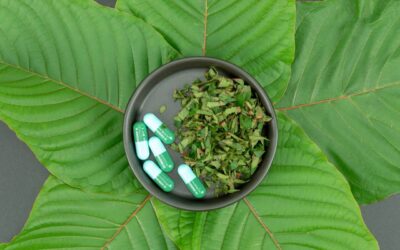What You Need to Know About Kratom and Its Effects