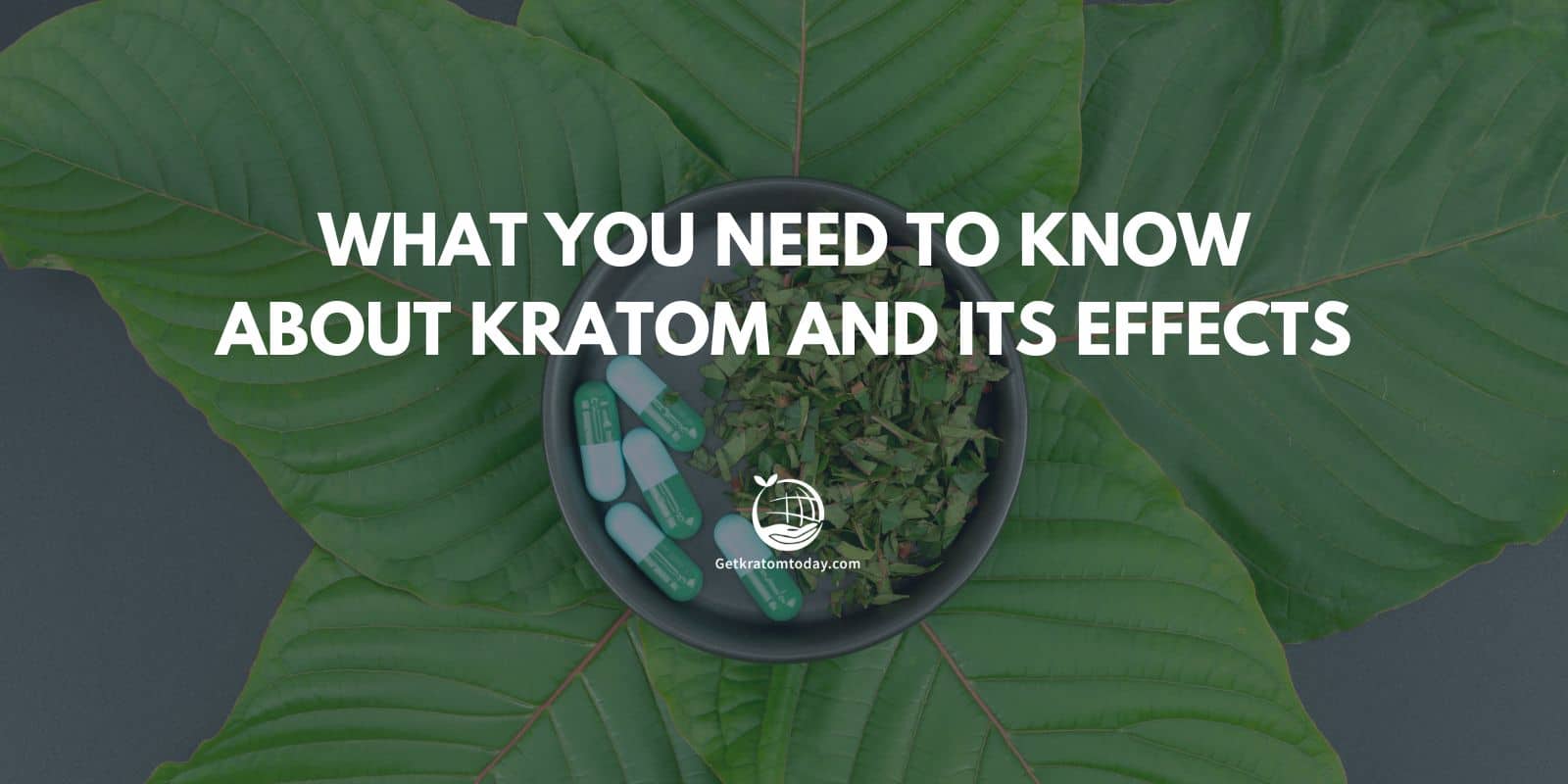 What You Need To Know About Kratom And Its Effects | Get Kratom Today